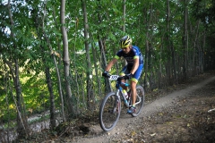 CUSTOZA-2015-1174