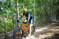 CUSTOZA-2015-1179