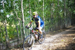 CUSTOZA-2015-1180