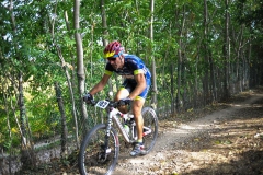 CUSTOZA-2015-1181