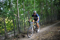 CUSTOZA-2015-1185