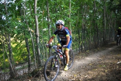 CUSTOZA-2015-1186