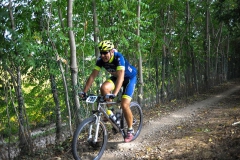 CUSTOZA-2015-1187
