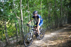 CUSTOZA-2015-1188