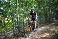 CUSTOZA-2015-1189