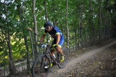 CUSTOZA-2015-1192