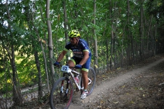 CUSTOZA-2015-1194