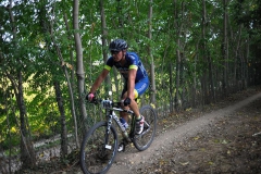 CUSTOZA-2015-1195
