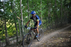 CUSTOZA-2015-1198