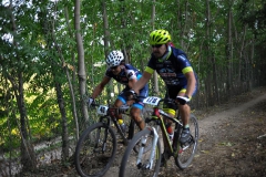 CUSTOZA-2015-1206
