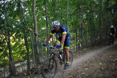 CUSTOZA-2015-1210