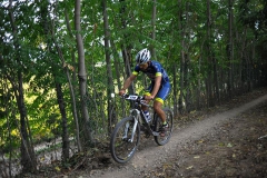 CUSTOZA-2015-1211