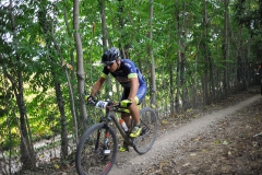 CUSTOZA-2015-1214