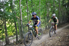 CUSTOZA-2015-1215