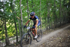 CUSTOZA-2015-1216