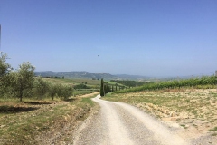TOSCANE-2015-1027