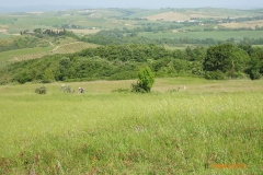 TOSCANE-2015-1169