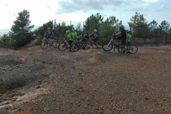 ELBA-2016-1009