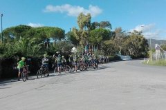 ELBA-2016-1016