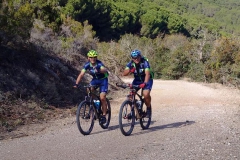 ELBA-2016-1018