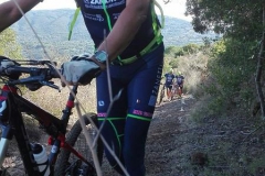 ELBA-2016-1025