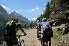 2016-TONALE-1033