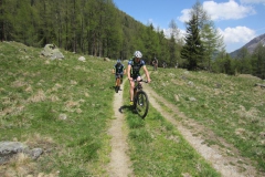 2016-TONALE-1069