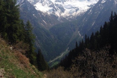 2016-TONALE-1491
