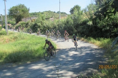2017-CECINA (1012)