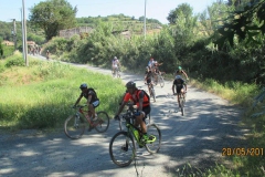 2017-CECINA (1019)