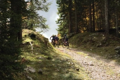 ASIAGO-2018 (1214)