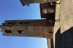 BELLARIA (1243)
