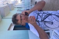 BELLARIA (1284)