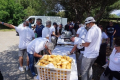 2019-Elba-1003