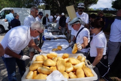 2019-Elba-1005