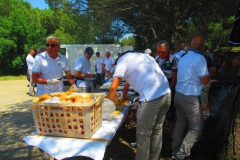 2019-Elba-1009