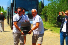 2019-Elba-1012