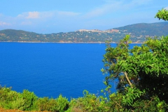 2019-Elba-1047