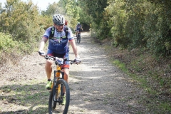 2019-Elba-1161