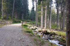 Val-di-Sole-2020-48