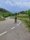 ELBA2023-1300