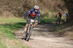 CUSTOZA26-1131