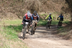 CUSTOZA26-1138