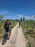 GITA-COLLIO-1068