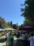 PICNIC26-1005