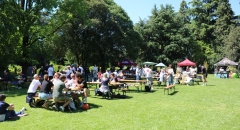 PICNIC26-1013