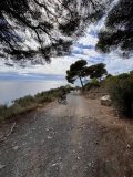 DIANO-MARINA-1004