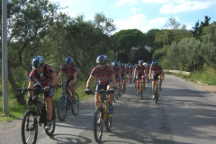 ELBA-OTT-2003-1025