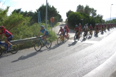 ELBA-OTT-2003-1029