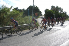 ELBA-OTT-2003-1031